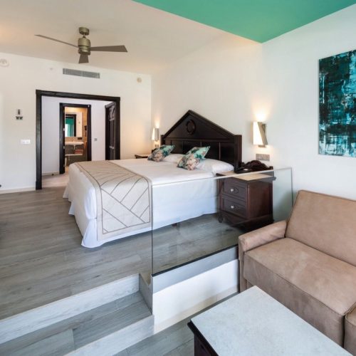 ORI_19_037 - Junior suite