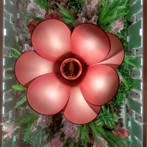 PHOTO-2021-12-12-15-57-23 35